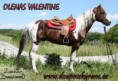 /album/fotogalerie-olenas-valentine/olenas-valentine-jpg1/